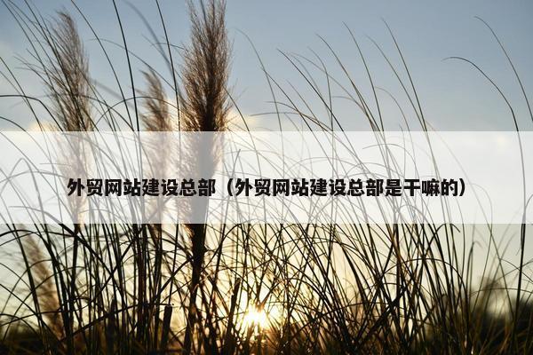 外贸网站建设总部（外贸网站建设总部是干嘛的）