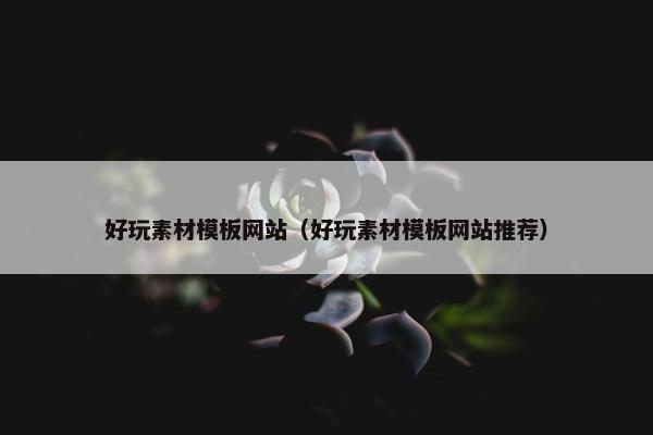 好玩素材模板网站（好玩素材模板网站推荐）