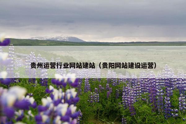 贵州运营行业网站建站（贵阳网站建设运营）
