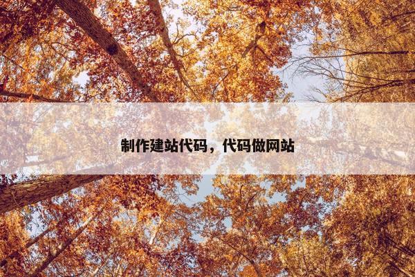 制作建站代码，代码做网站