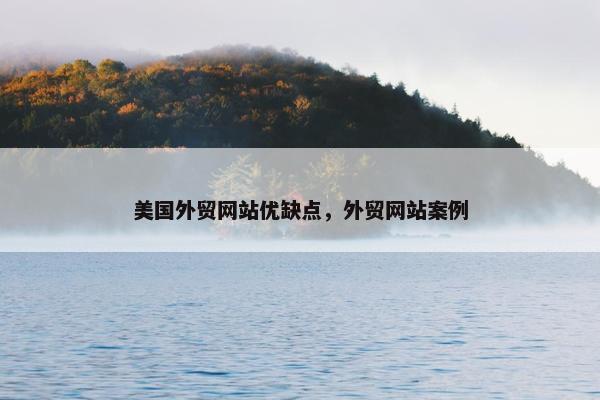 美国外贸网站优缺点，外贸网站案例