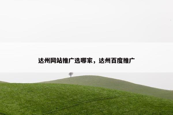 达州网站推广选哪家，达州百度推广