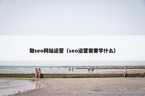 做seo网站运营（seo运营需要学什么）