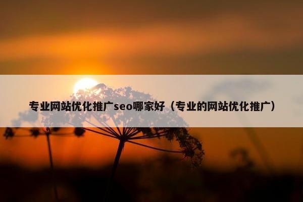 专业网站优化推广seo哪家好（专业的网站优化推广）