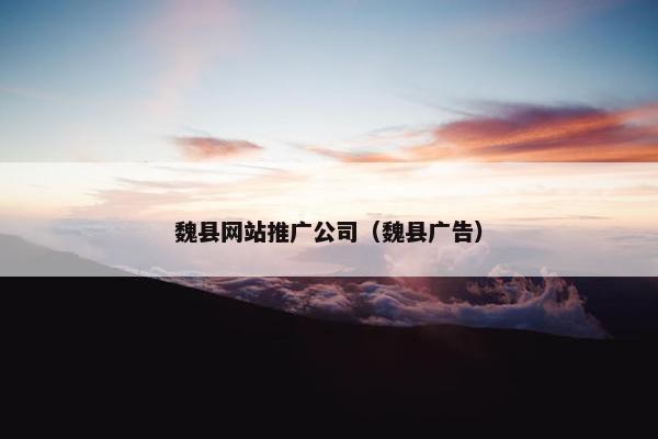 魏县网站推广公司（魏县广告）