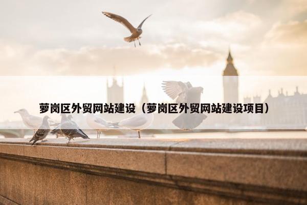 萝岗区外贸网站建设（萝岗区外贸网站建设项目）