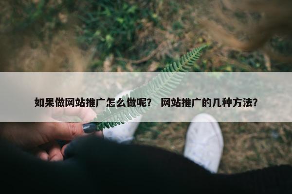 如果做网站推广怎么做呢？ 网站推广的几种方法？