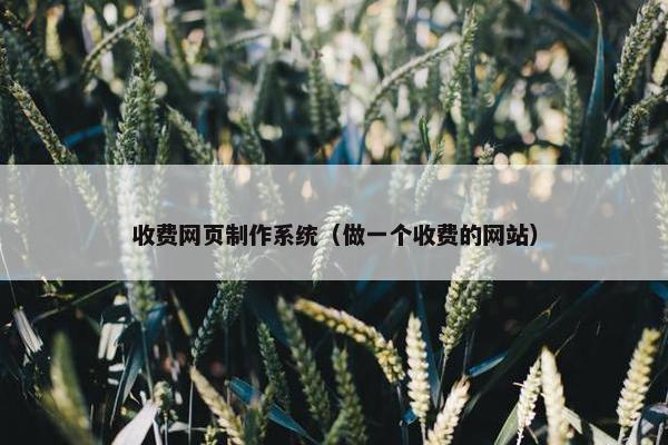 收费网页制作系统（做一个收费的网站）