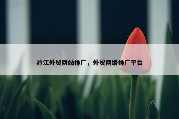 黔江外贸网站推广，外贸网络推广平台