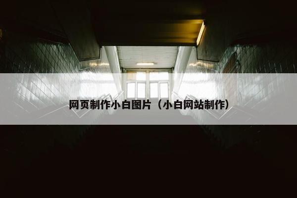 网页制作小白图片（小白网站制作）