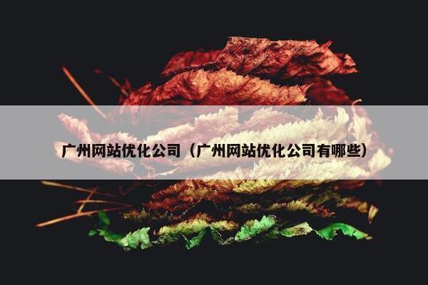 广州网站优化公司（广州网站优化公司有哪些）