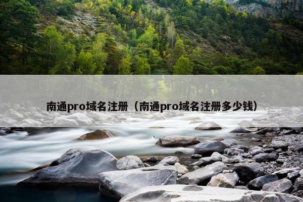南通pro域名注册（南通pro域名注册多少钱）