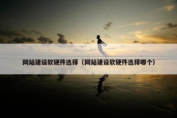 网站建设软硬件选择（网站建设软硬件选择哪个）