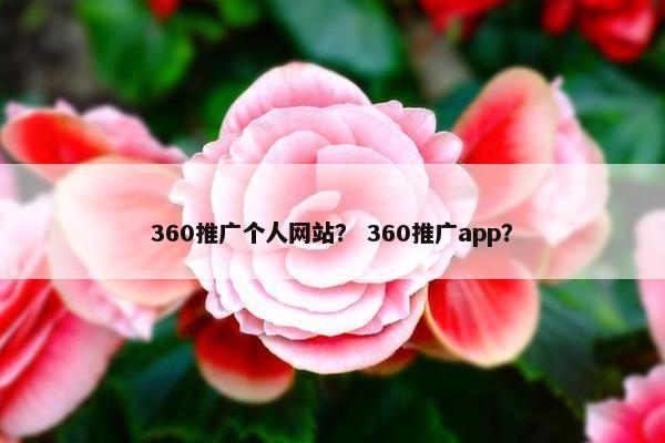 360推广个人网站？ 360推广app？