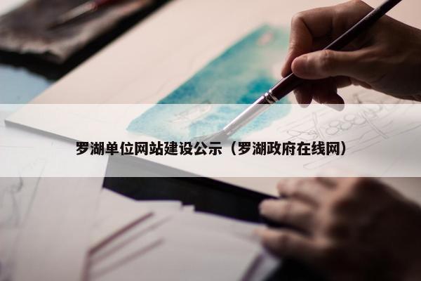 罗湖单位网站建设公示（罗湖政府在线网）