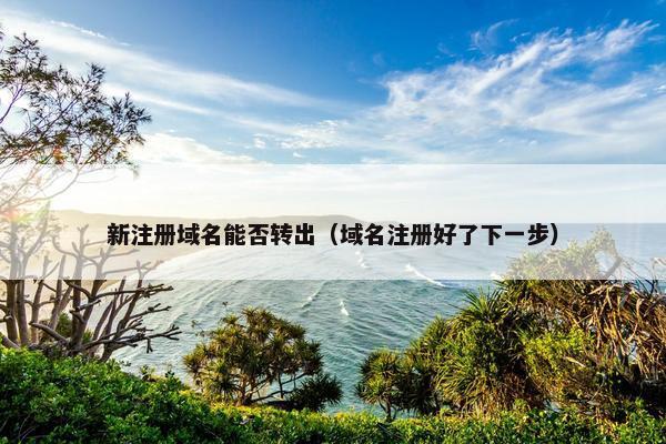 新注册域名能否转出（域名注册好了下一步）