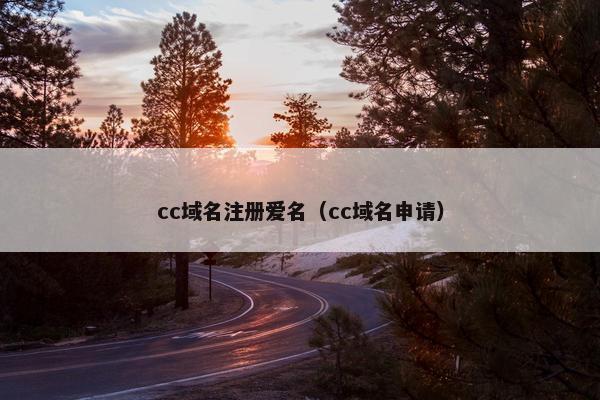 cc域名注册爱名（cc域名申请）