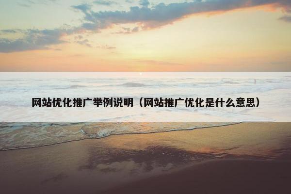 网站优化推广举例说明（网站推广优化是什么意思）