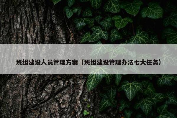 班组建设人员管理方案（班组建设管理办法七大任务）
