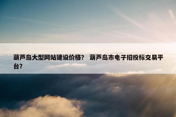 葫芦岛大型网站建设价格？ 葫芦岛市电子招投标交易平台？