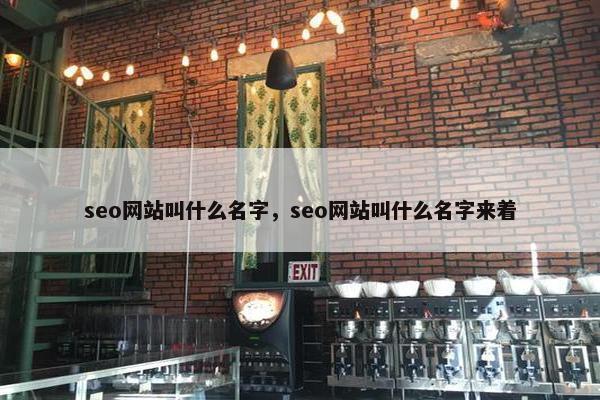 seo网站叫什么名字，seo网站叫什么名字来着