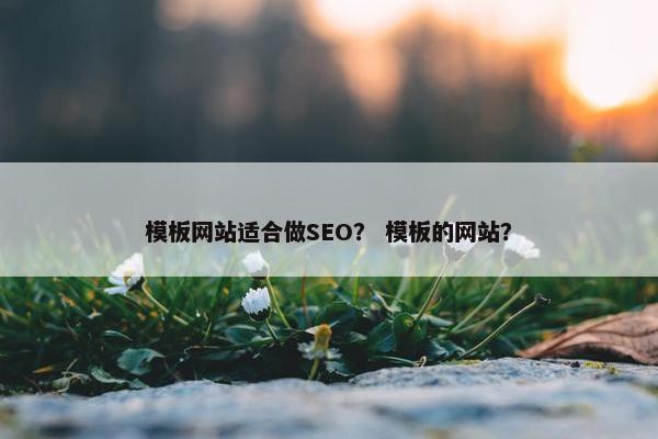 模板网站适合做SEO？ 模板的网站？