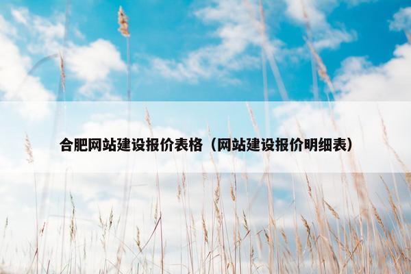 合肥网站建设报价表格（网站建设报价明细表）