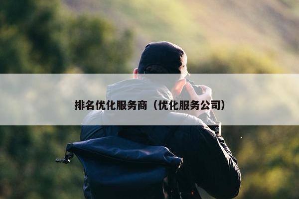 排名优化服务商（优化服务公司）