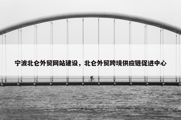 宁波北仑外贸网站建设，北仑外贸跨境供应链促进中心