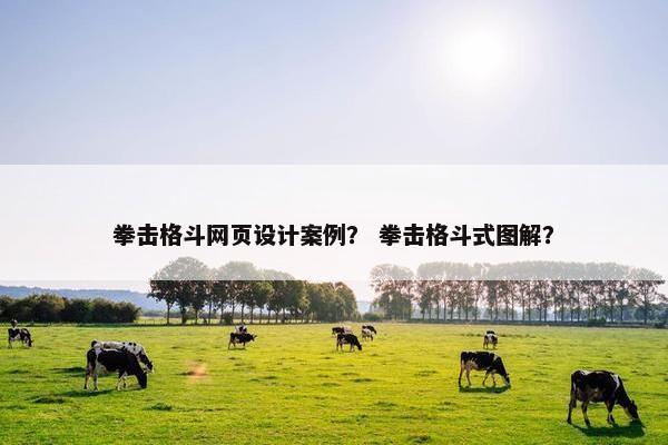 拳击格斗网页设计案例？ 拳击格斗式图解？