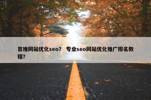 首推网站优化seo？ 专业seo网站优化推广排名教程？
