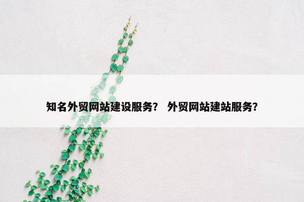 知名外贸网站建设服务？ 外贸网站建站服务？