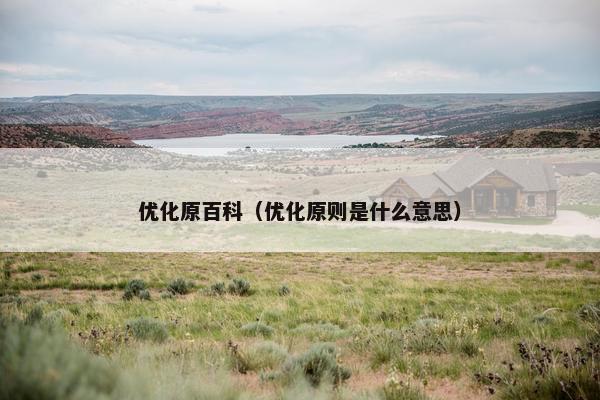 优化原百科（优化原则是什么意思）