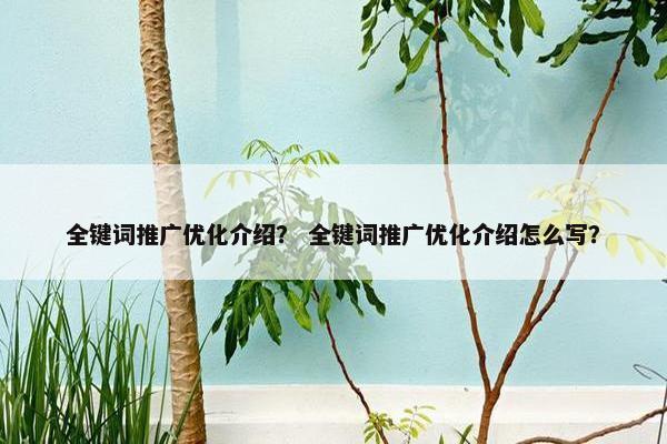 全键词推广优化介绍？ 全键词推广优化介绍怎么写？