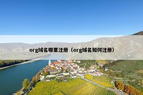 org域名哪里注册（org域名如何注册）