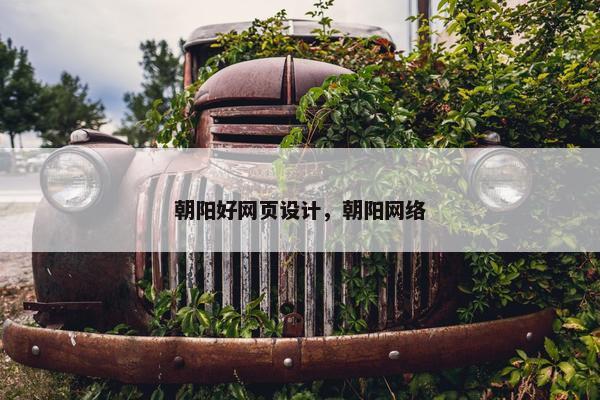 朝阳好网页设计，朝阳网络