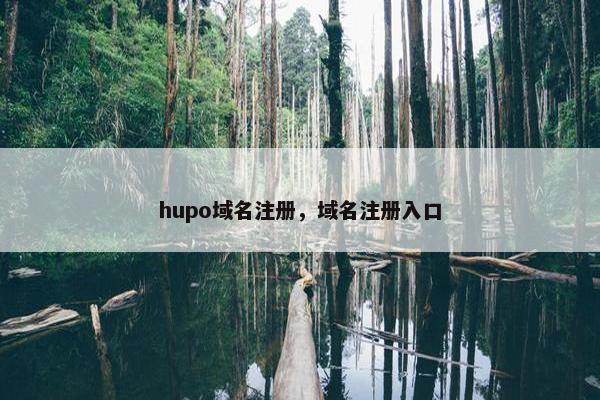 hupo域名注册，域名注册入口