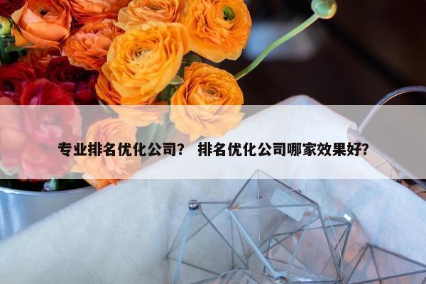 专业排名优化公司？ 排名优化公司哪家效果好？
