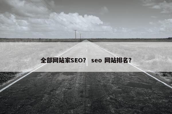 全部网站家SEO？ seo 网站排名？
