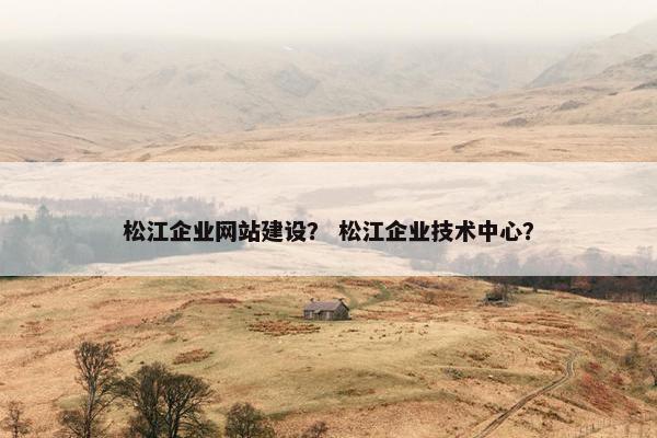 松江企业网站建设？ 松江企业技术中心？