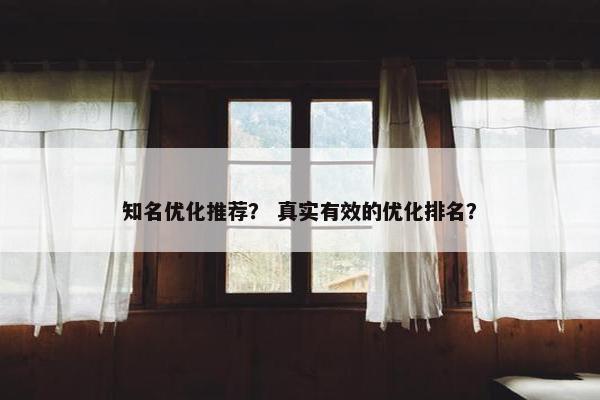 知名优化推荐？ 真实有效的优化排名？