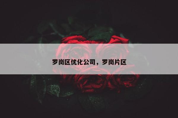 罗岗区优化公司，罗岗片区