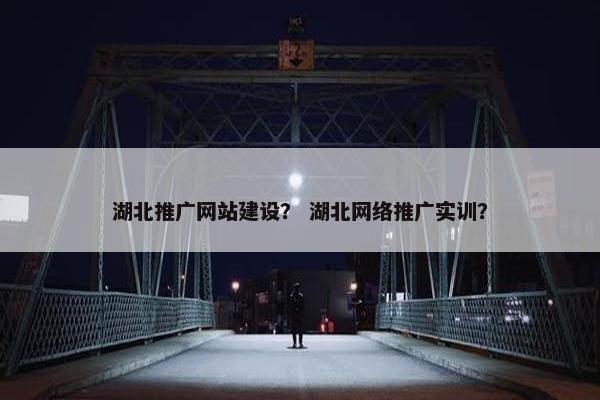 湖北推广网站建设？ 湖北网络推广实训？