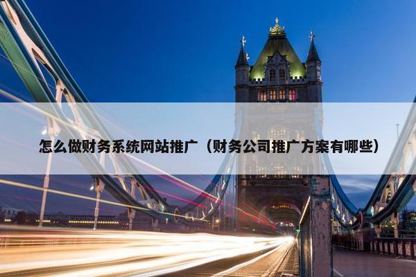 怎么做财务系统网站推广（财务公司推广方案有哪些）
