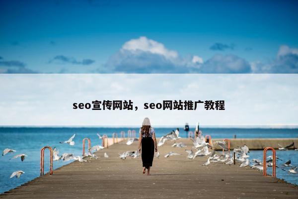 seo宣传网站，seo网站推广教程