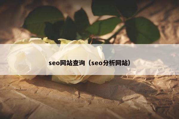 seo网站查询（seo分析网站）