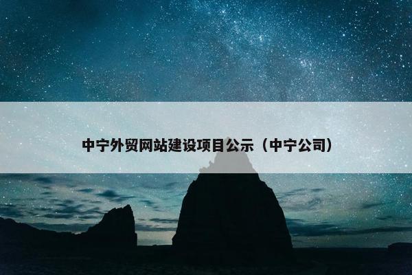 中宁外贸网站建设项目公示（中宁公司）
