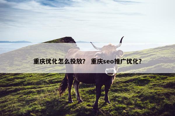 重庆优化怎么投放？ 重庆seo推广优化？