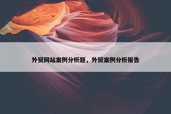 外贸网站案例分析题，外贸案例分析报告