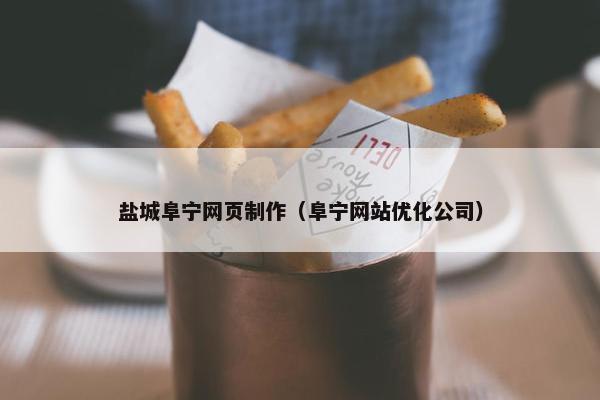 盐城阜宁网页制作（阜宁网站优化公司）